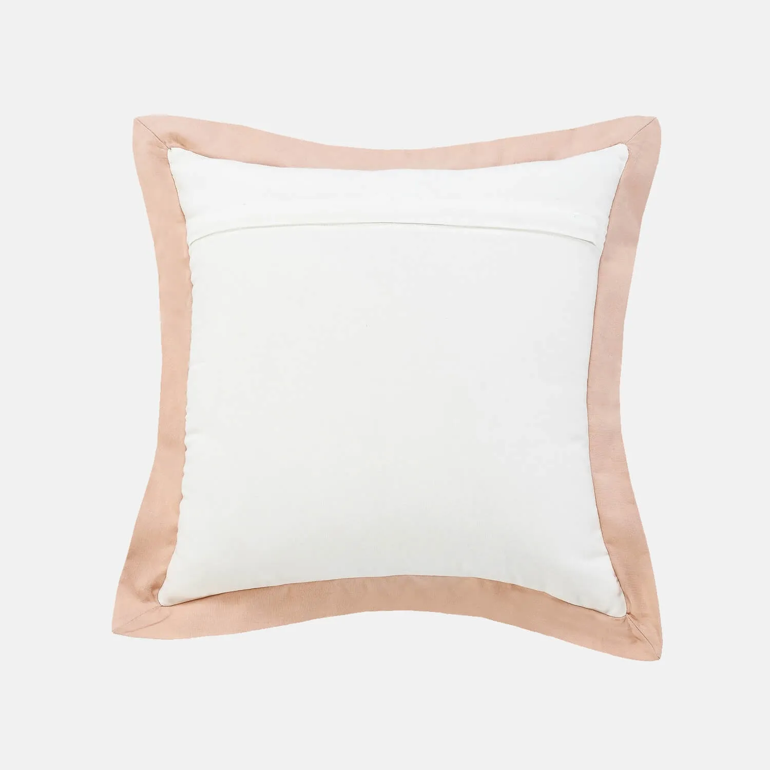 Color Border Square Throw Pillow