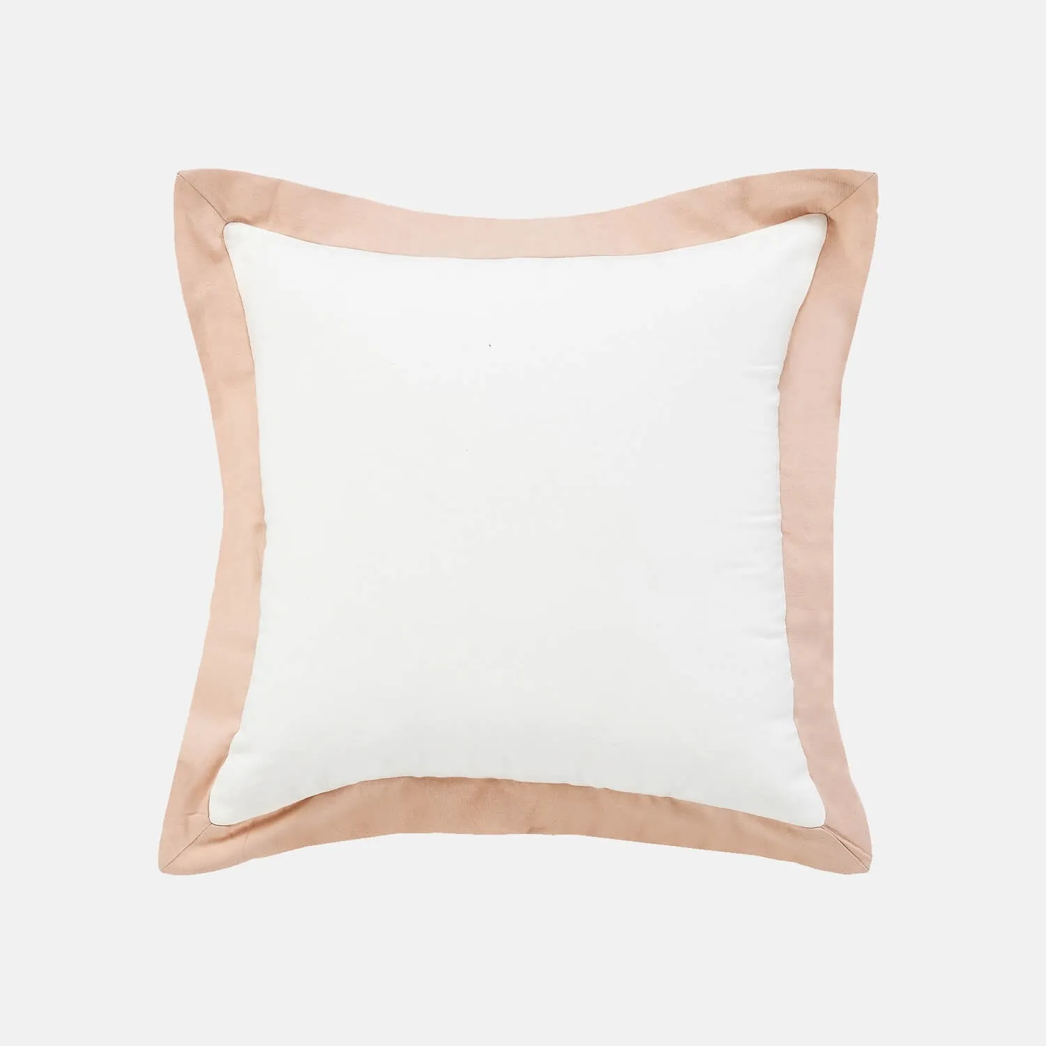 Color Border Square Throw Pillow